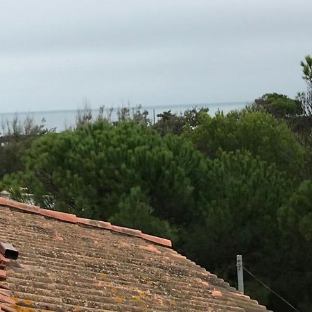 Vias Plage : Residence Securisee Bord De Mer Exteriör bild