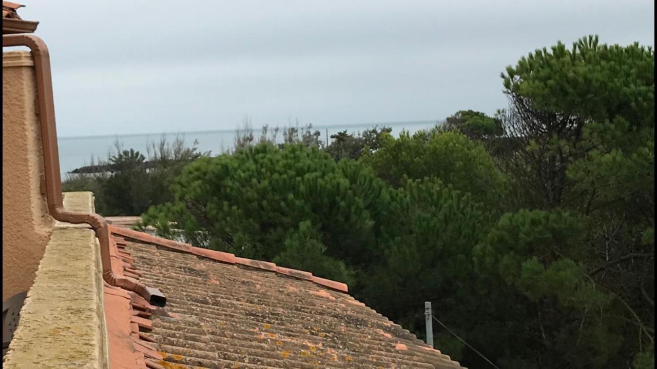 Vias Plage : Residence Securisee Bord De Mer Exteriör bild