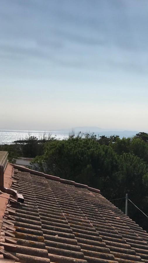 Vias Plage : Residence Securisee Bord De Mer Exteriör bild